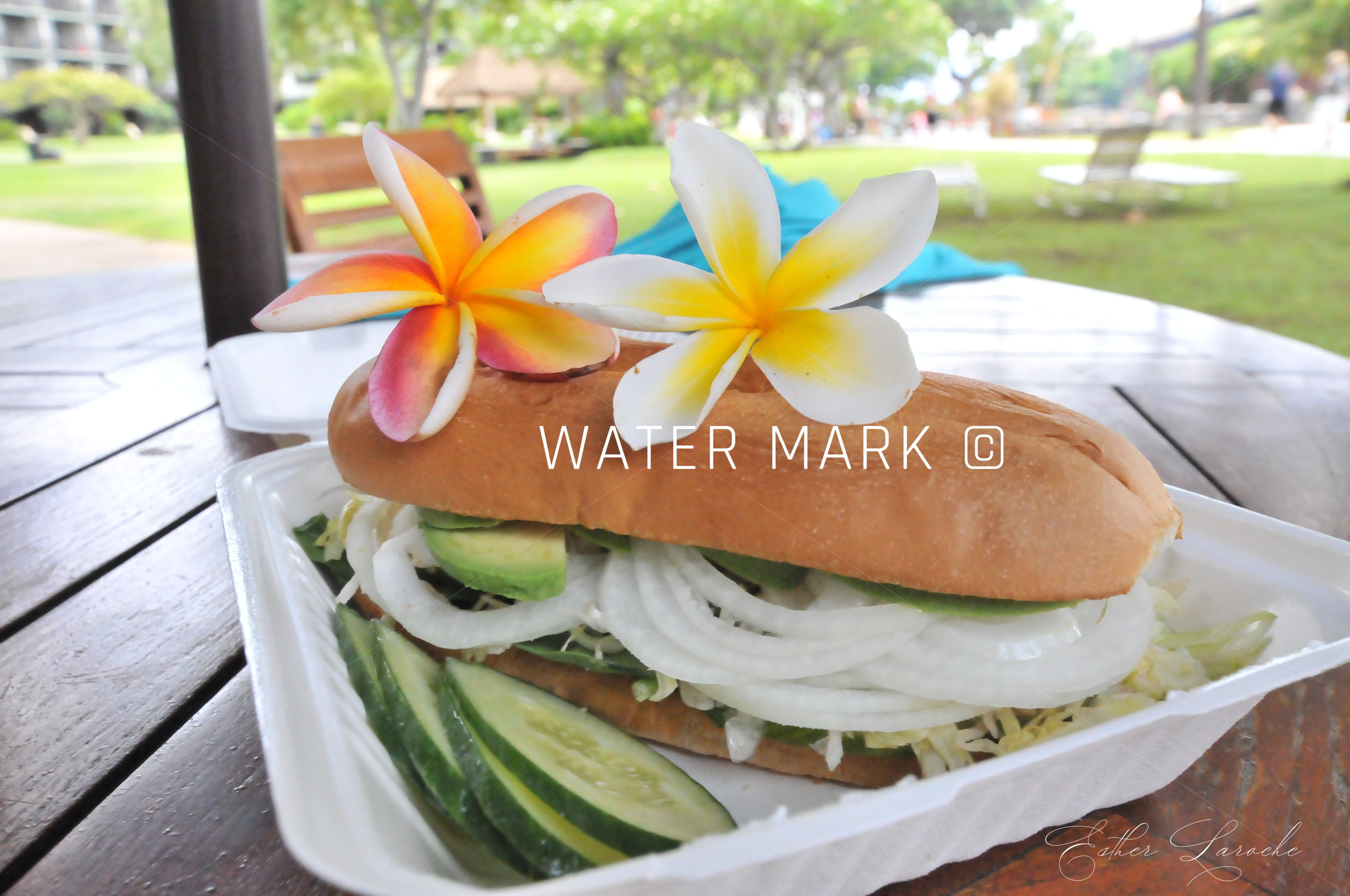 Photos culinaire/plats typiques Hawaien